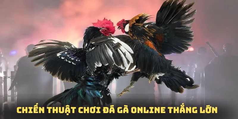 Chiến thuật cá cược đá gà 88CLB với cơ hội trúng lớn từ chuyên gia